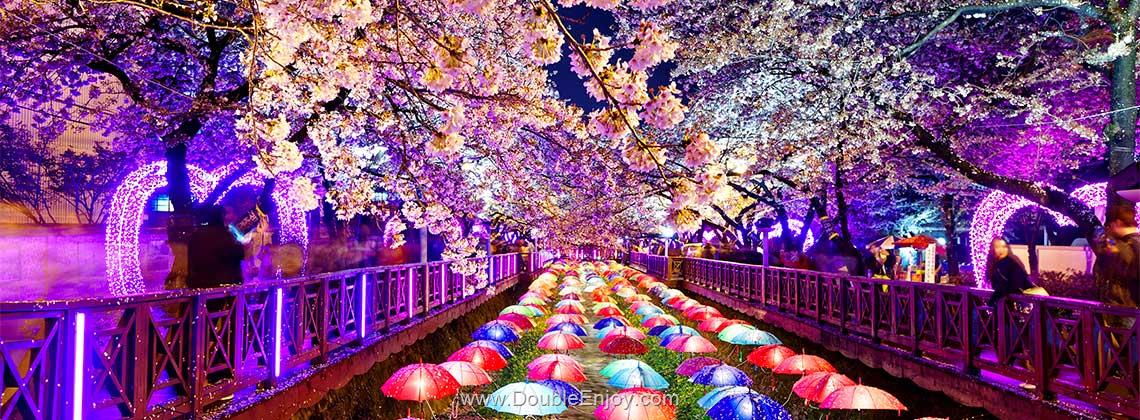 DE393 : โปรแกรมทัวร์เกาหลี ปูซาน เทศกาลดอกซากุระ สวนสนุก E-WORLD 5 วัน 3 คืน (TW)
