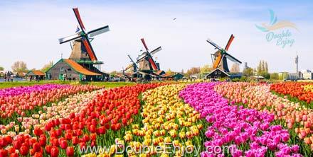DE597 : ทัวร์ยุโรป ฝรั่งเศส เบลเยียม เนเธอร์แลนด์ เยอรมนี เทศกาลดอกไม้เคอเคนฮอฟ 9 วัน 6 คืน (TG)