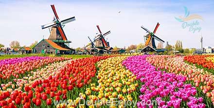 DE401 : ทัวร์ยุโรป ฝรั่งเศส เบลเยี่ยม เนเธอร์แลนด์ งานเทศกาลดอกไม้ 9 วัน 6 คืน (TG)