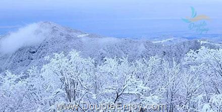 DE745 : ทัวร์เฉินตู ปาจง อุทยานภูเขากวงวู่ซาน อลังการนครหิมะอันบริสุทธิ์ 5 วัน 2 คืน (8L)