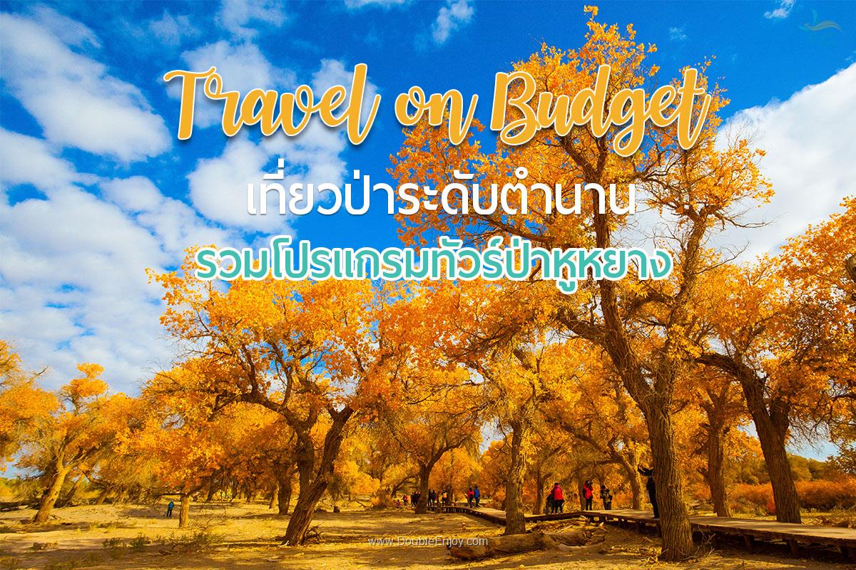 Travel Inspiration เที่ยวระดับตำนานที่ป่าหูหยาง