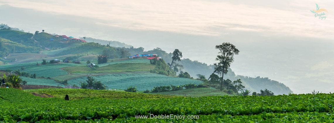 DE022 : ทัวร์เชียงคาน ภูเรือ จ.เลย - ภูทับเบิก เขาค้อ จ.เพชรบูรณ์ 4 วัน 2 คืน (Van)