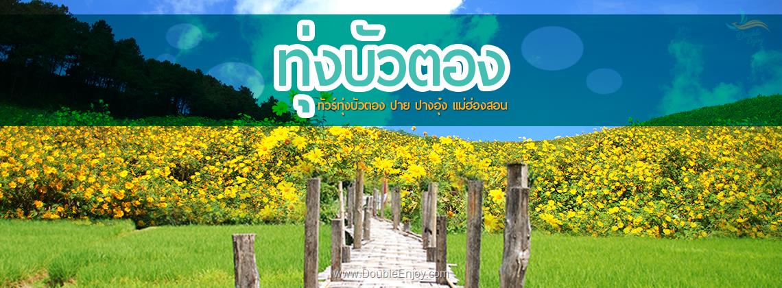 DE002 : ทัวร์ทุ่งบัวตอง ปาย ปางอุ๋ง แม่ฮ่องสอน 4 วัน 2 คืน (Van)