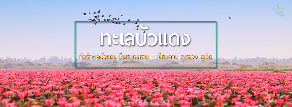 DE019 : ทัวร์ทะเลบัวแดง บึงหนองหาน - เชียงคาน ภูหลวง ภูเรือ 4 วัน 2 คืน (Van)