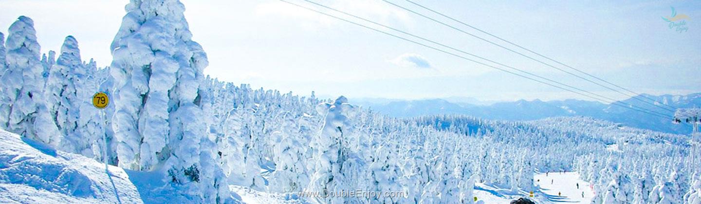 DE291 : ทัวร์ญี่ปุ่น TOKYO ZAO SNOWMONSTER 7 วัน 4 คืน (TG)