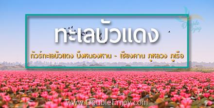 DE019 : ทัวร์ทะเลบัวแดง บึงหนองหาน - เชียงคาน ภูหลวง ภูเรือ 4 วัน 2 คืน (Van)