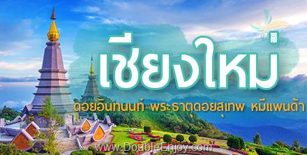 DE026 : ทัวร์เชียงใหม่ ดอยอินทนนท์ พระธาตุดอยสุเทพ หมีแพนด้า จ.เชียงใหม่ 4 วัน 2 คืน (Van)