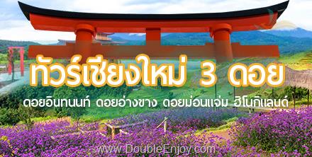 DE031 : ทัวร์เชียงใหม่ ม่อนแจ่ม ดอยอ่างขาง 4 วัน 2 คืน (Van)